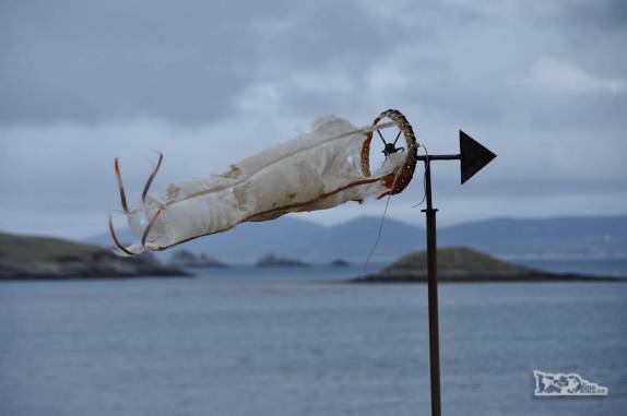 Muito vento em Carcass Island, no noroeste das Ilhas Malvinas